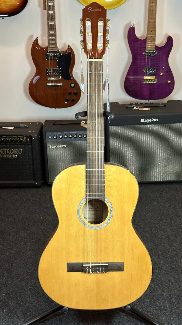 Violão Aço Eletroacústico Giannini Performance Plus N-17 n (natural) 