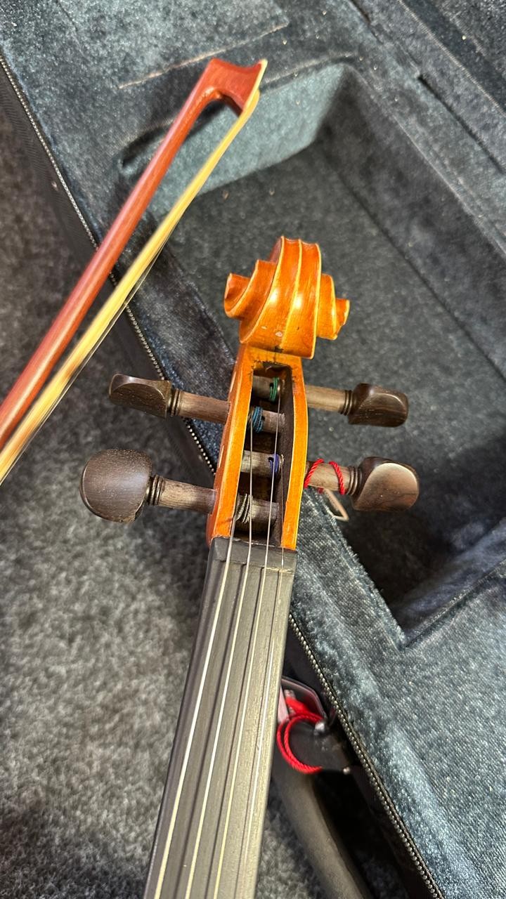 Violino 4/4 Vivace Beethoven Be44s Tampo Sólido Fosco 