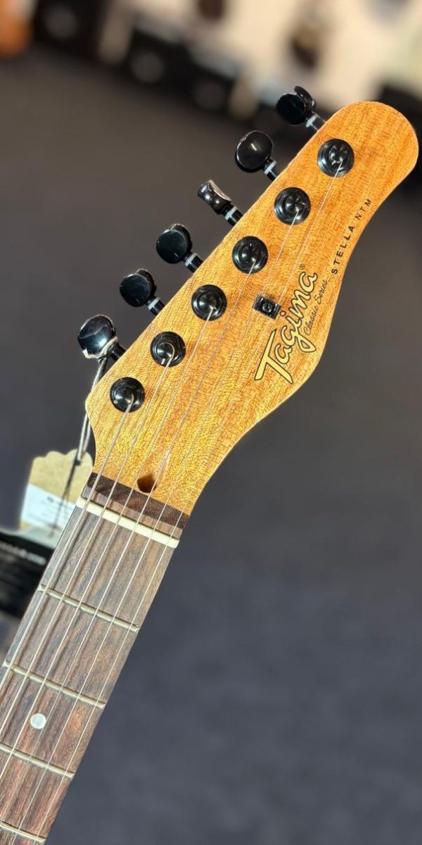 Guitarra Tagma Stella Escala Escura Mahogany Nts 