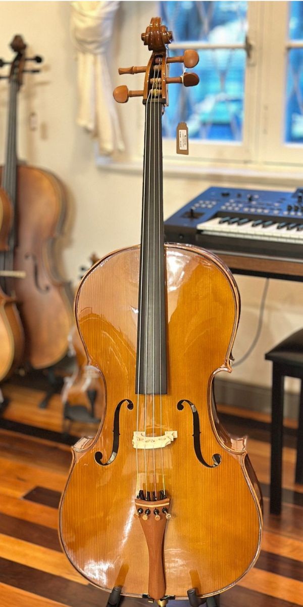 Violoncelo Eagle Ce200 4/4 Cello Com Arco, Breu e Capa Extra Luxo 