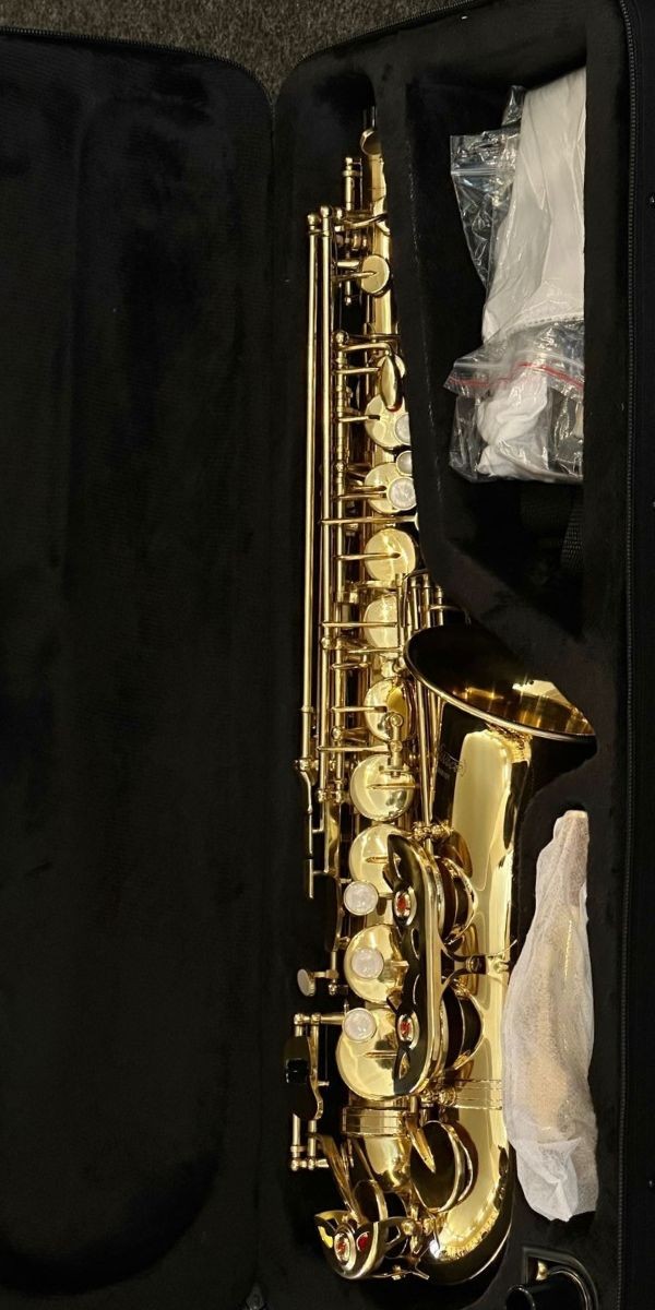 Saxofone Alto Vivace Vas101 eb mi Bemol Laqueado Com Case 