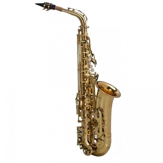 Sax Alto Laqueado Dourado Shelter Sgft6430l Com Estojo 