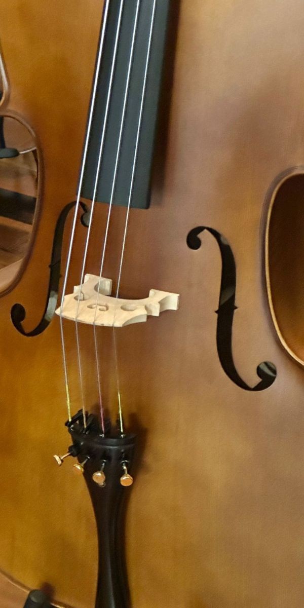 Violoncelo 4/4 Eagle Ce300 Abeto e Maple Sólidos Com Bag 