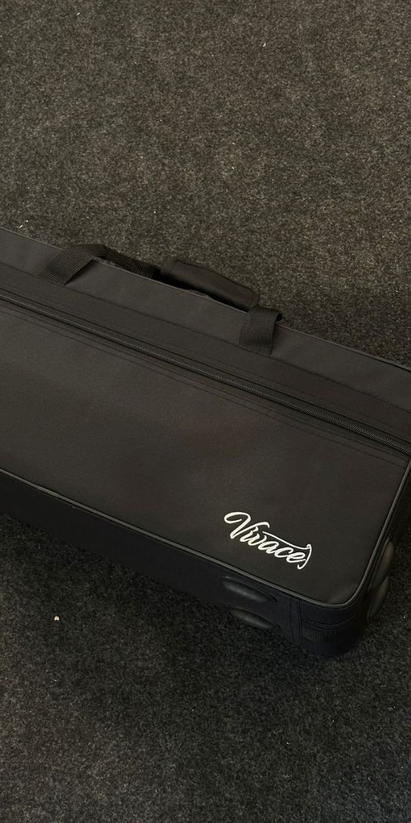 Saxofone Alto Vivace Vas101 eb mi Bemol Laqueado Com Case 