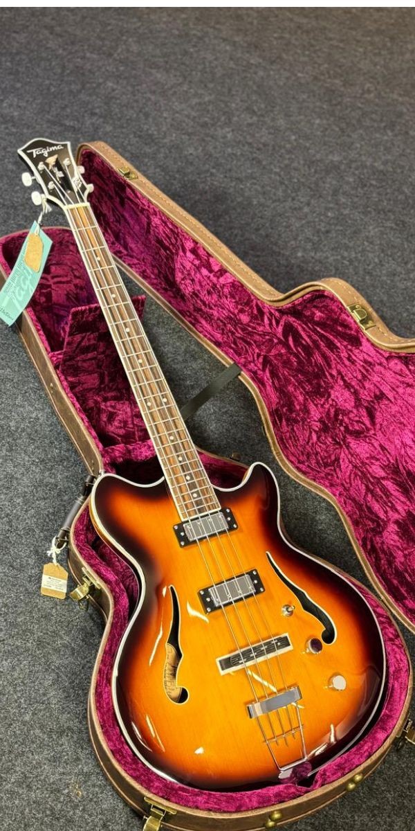 Contrabaixo Semi Acústico Tagima Ekosonic Bass sb Escala Escura Com Case 