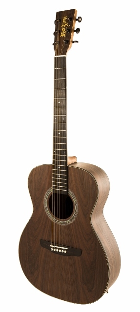 Violão Rozini rx 215 Aço Eletroacústico Louro-preto 