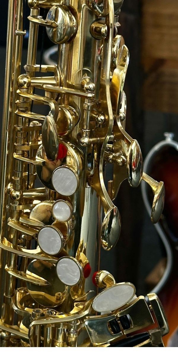 Saxofone Alto Vivace Vas101 eb mi Bemol Laqueado Com Case 