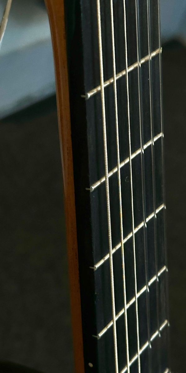 Violão Nylon Elétrico Rozini Rx213.fcb.n.j Natural Fishman Clásica Blend Jacarandá 