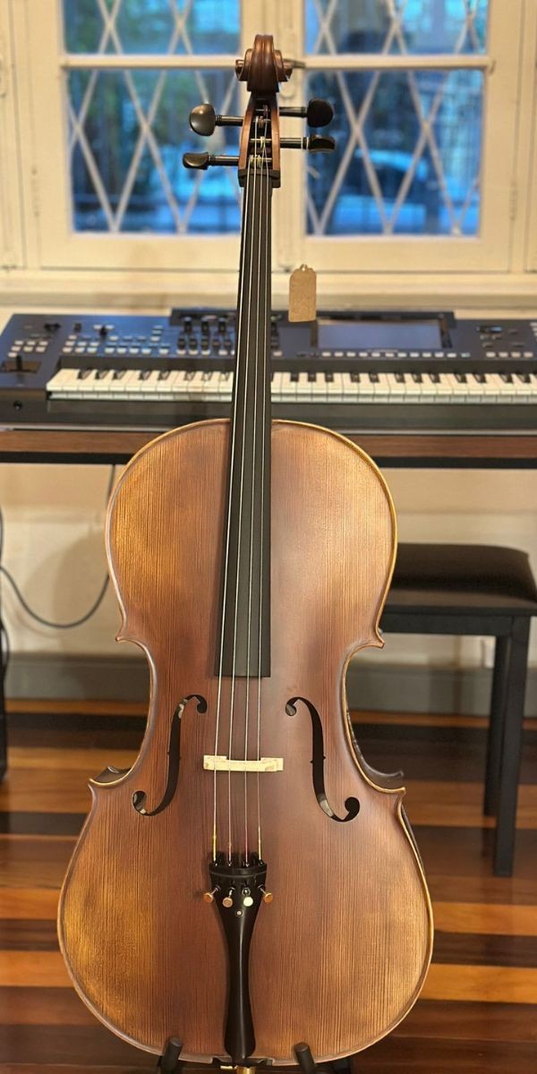 Violoncelo Eagle Ce310 4/4 Satin ts Com Arco, Breu e Bag Extra Luxo 