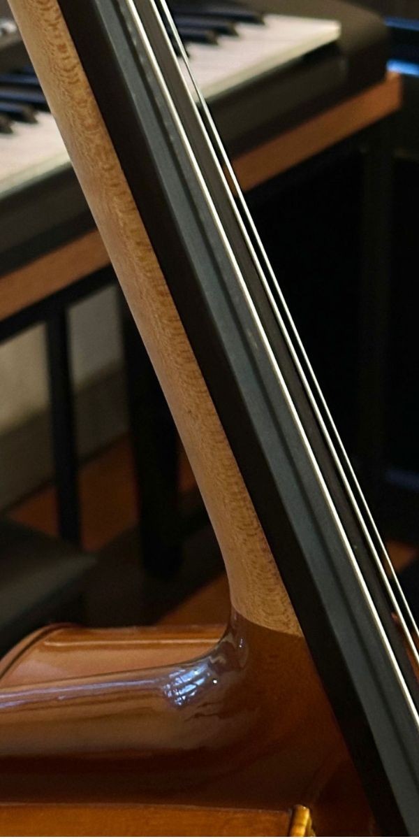 Violoncelo Eagle Ce200 4/4 Cello Com Arco, Breu e Capa Extra Luxo 