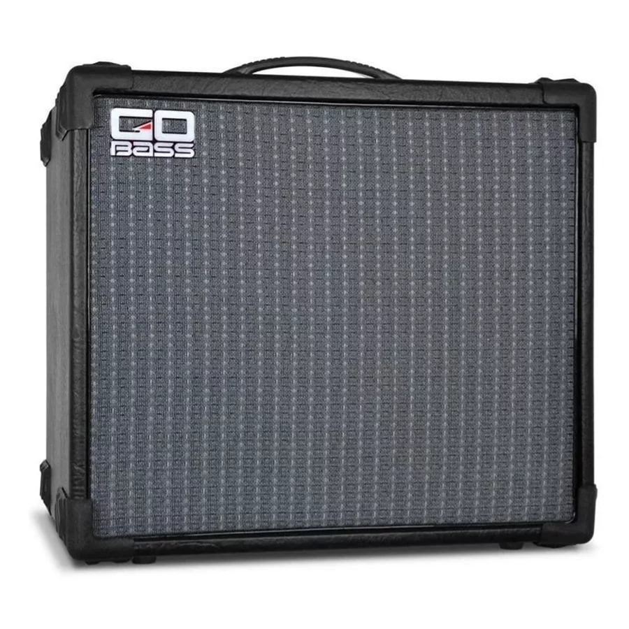 Combo Baixo go Bass Borne gb 300 80w 