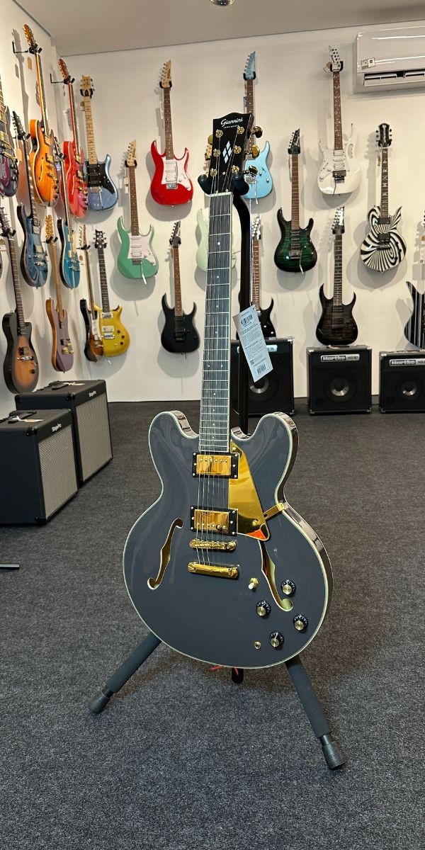 Guitarra Elétrica Giannini Sonic Deluxe Diamond Gae06 Dlx bf (black Coffee) 