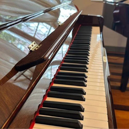 Piano Acústico Vertical Fritz Dobbert Fd126 ib Imbuia Brilho Com Banqueta Regulável 