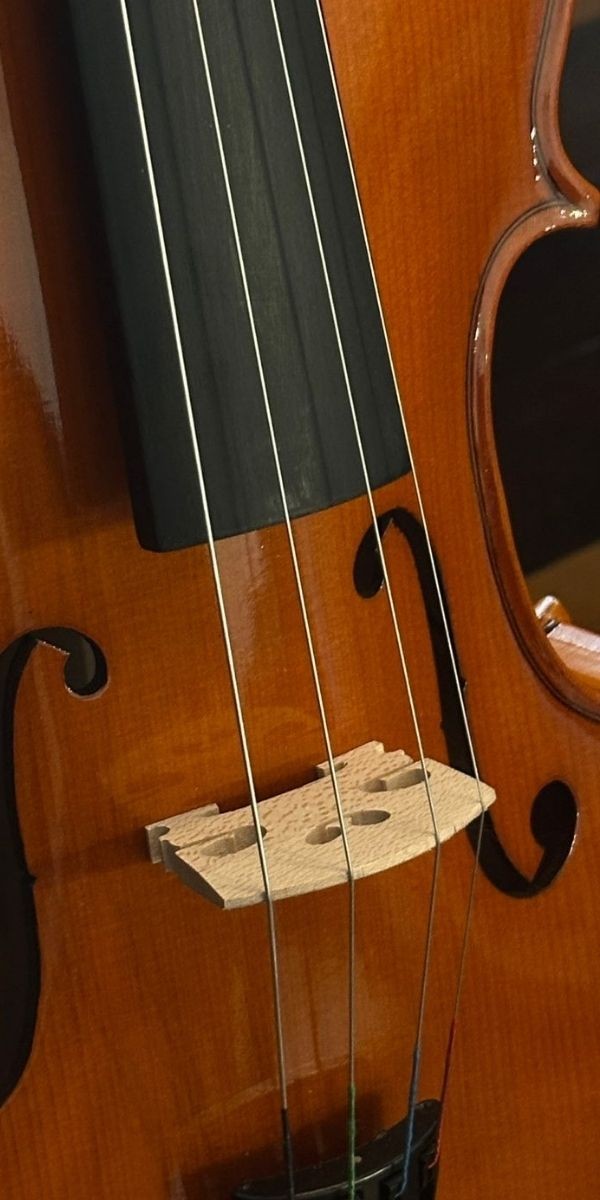 Viola Clássica Vivace Vbe44 Beethoven 4/4 Tamanho 40 Com Case, Arco e Breu 
